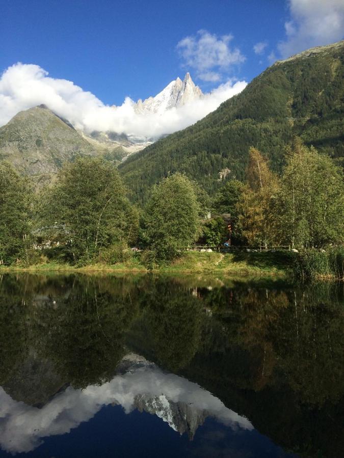 Chalet Champraz - Free Parking Chamonix Exteriér fotografie