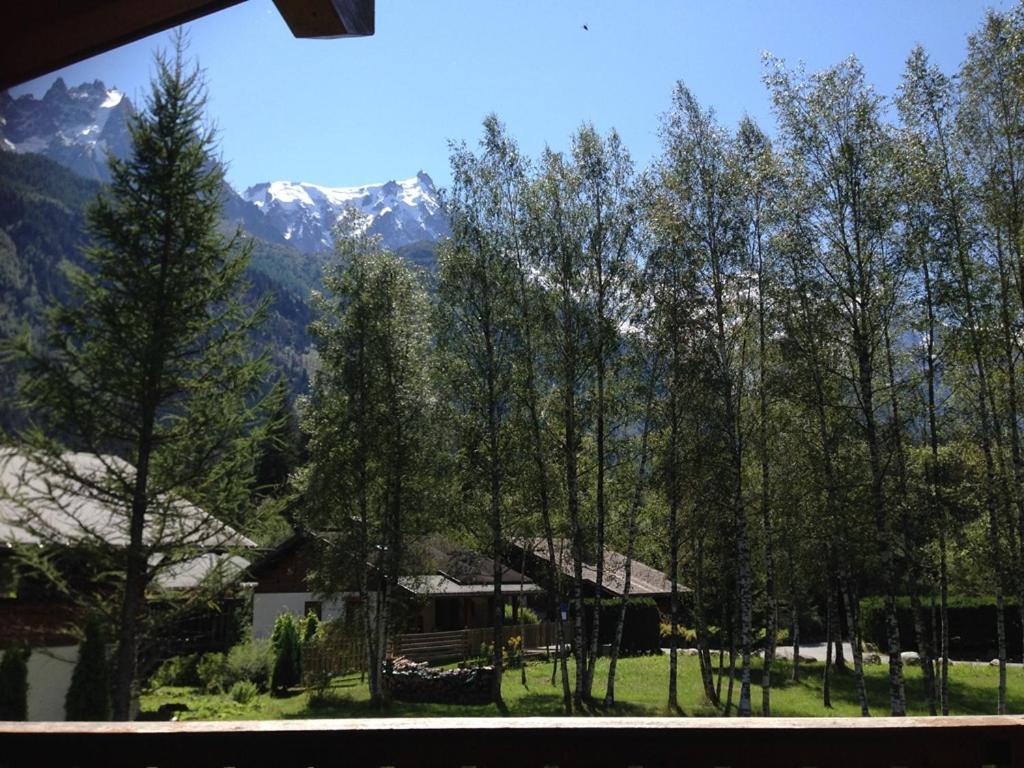 Chalet Champraz - Free Parking Chamonix Exteriér fotografie